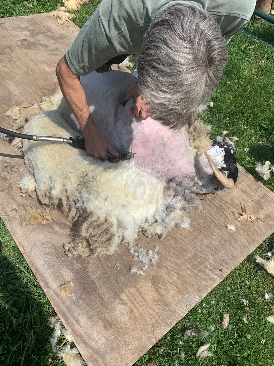 ⁦<a href="/uwpaul/">uwPAUL</a>⁩ If you don’t make it here by 3pm you’re going to have to wait until next year for your haircut.