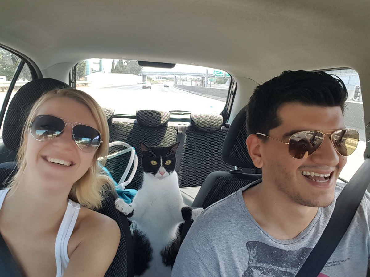 pitagoraki's tweet photo. Monday family trip #ilovemyhumans #catlife #cattrip https://t.co/LXaMjwTl1u