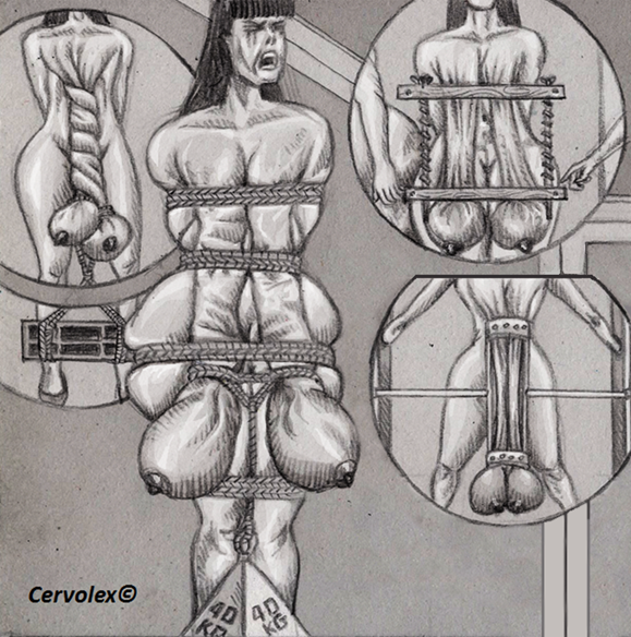 Cartoon Bondage Sketches - Tits Torture (commission) #nfsw #porn #drawing #art #bdsm ...