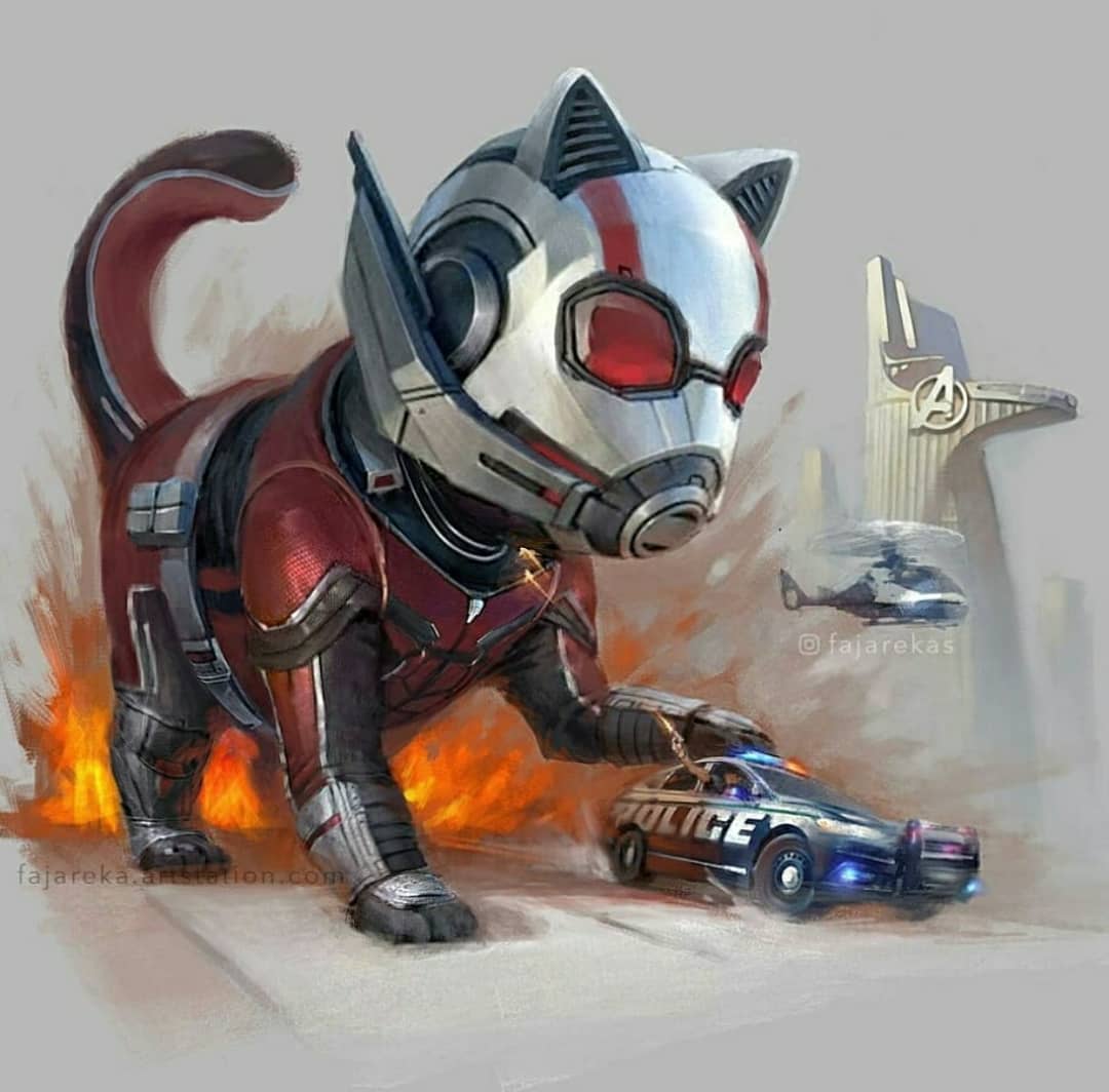 _polvilloisaac5's tweet photo. Y para la próxima película crossover de super héroes...LOS AVENGATETES🐈
.
¿Con cuál de ellos os quedaríais y porque? A mí me flipan venom-cat y el spidey gordito 😂 !
.
Art by: @fajarekas 👨🏼🎨
.
#avengers #marvel #dc #aquaman #thanos #deadpool #antman #avengersendgam https://t.co/Tx6RhetZLe