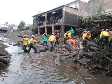 View image on Twitter