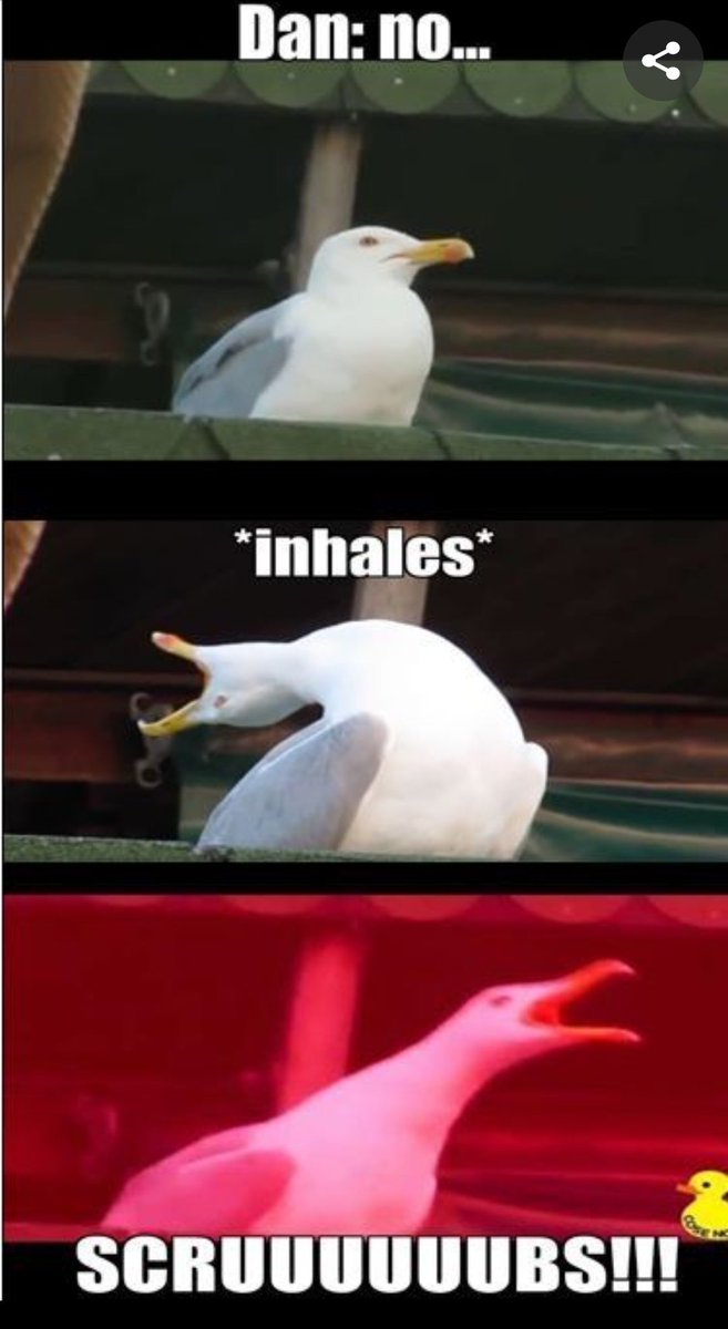 I laughed so hard.

<a href="/bastilledan/">Dan Smith</a>