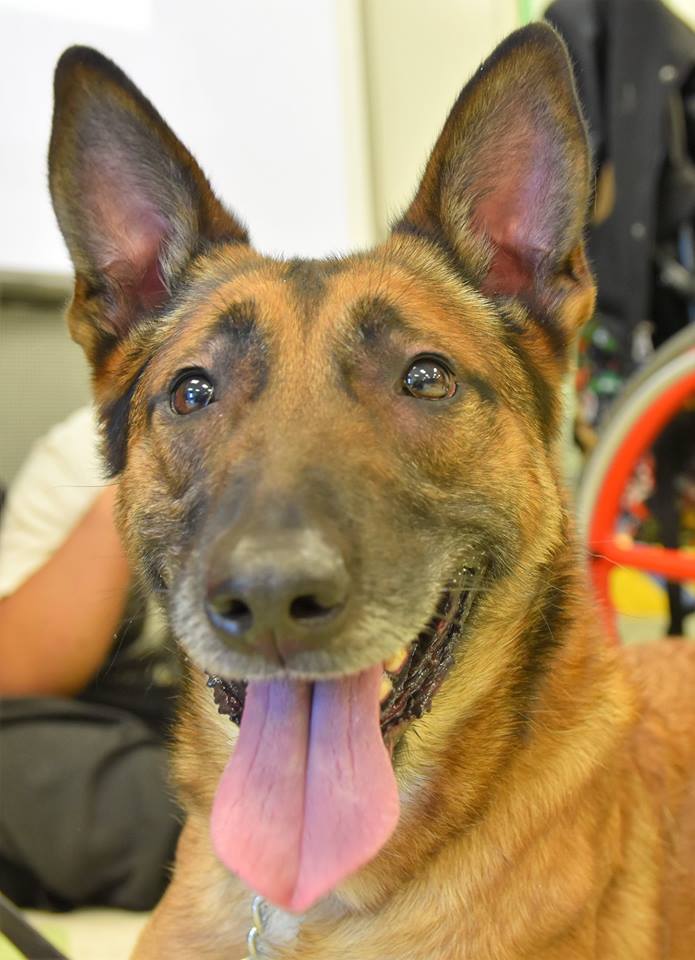 Come have dinner at @GrouchosIrmo next Thursday, June 6th between 4-9pm! Groucho’s will give back 10% of sales during that time to the #RCSD K9 Team. K9 Emy and her human, Cpl. Walmsley will be there too! 😉🐾