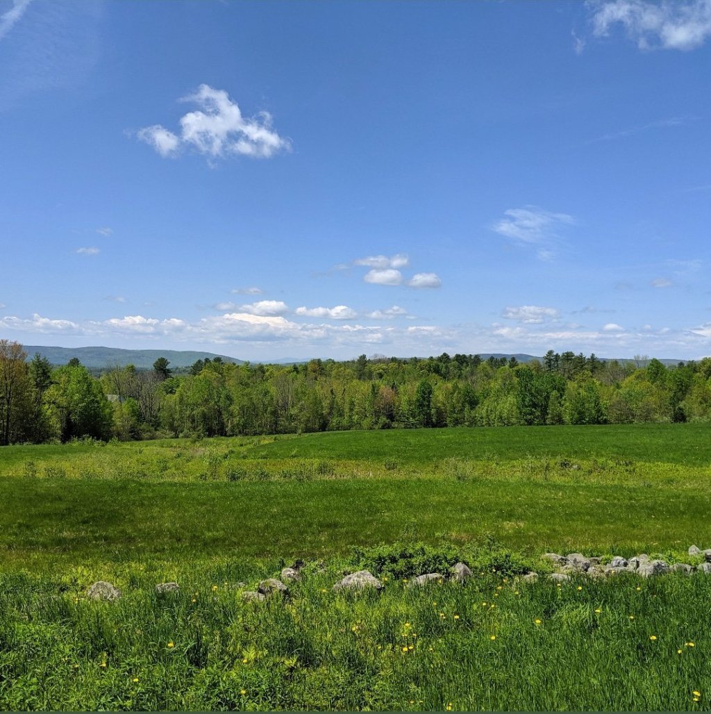 celestialfrog's tweet image. Hello, Again. catmomyoga.com/2019/06/03/hel…