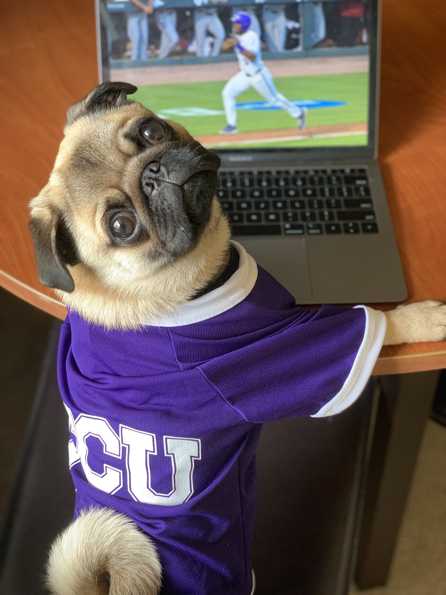 tcu dog jersey