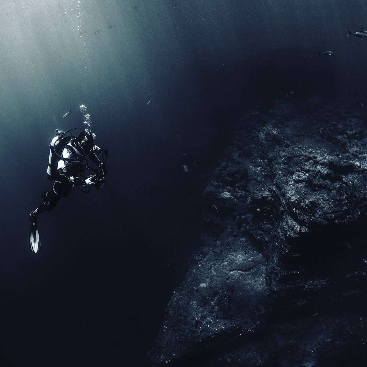 Wrapitup_SA's tweet image. Big news, coming soon! #underwater #scubaevolution #filmingunderwater