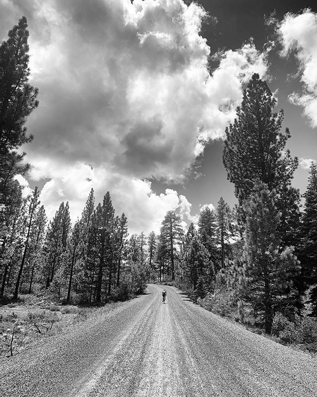 We back.

Any of you cats race the @sierratrails Lost and Found last weekend? // bit.ly/2WhuVOe