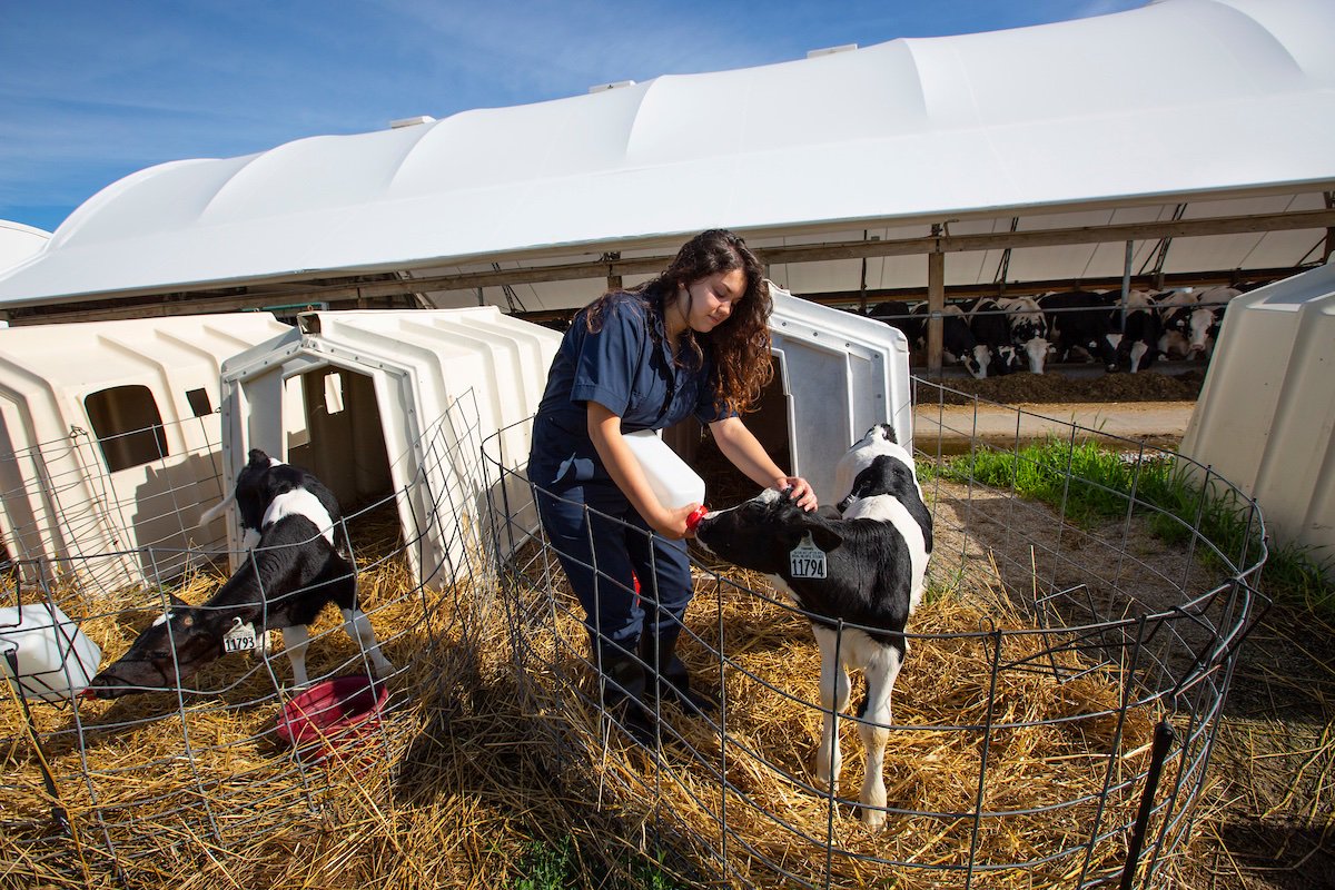 ISUVetMed's tweet photo. Let's celebrate! It's #NationalDairyMonth! A shout-out to dairy farmers, and everyone who serves and works in the dairy industry! https://t.co/VSfksK1cTr