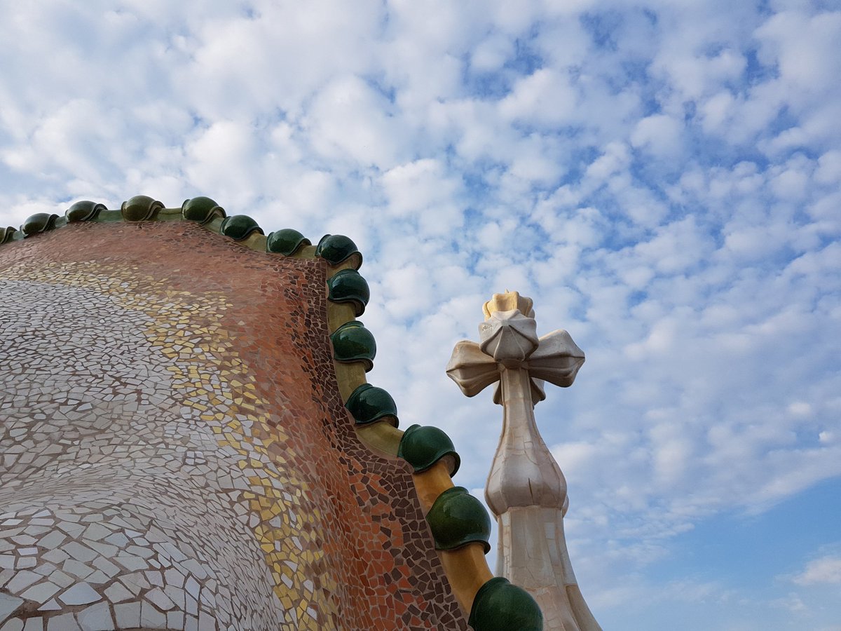 Javier Ortega Figueiral tweet media