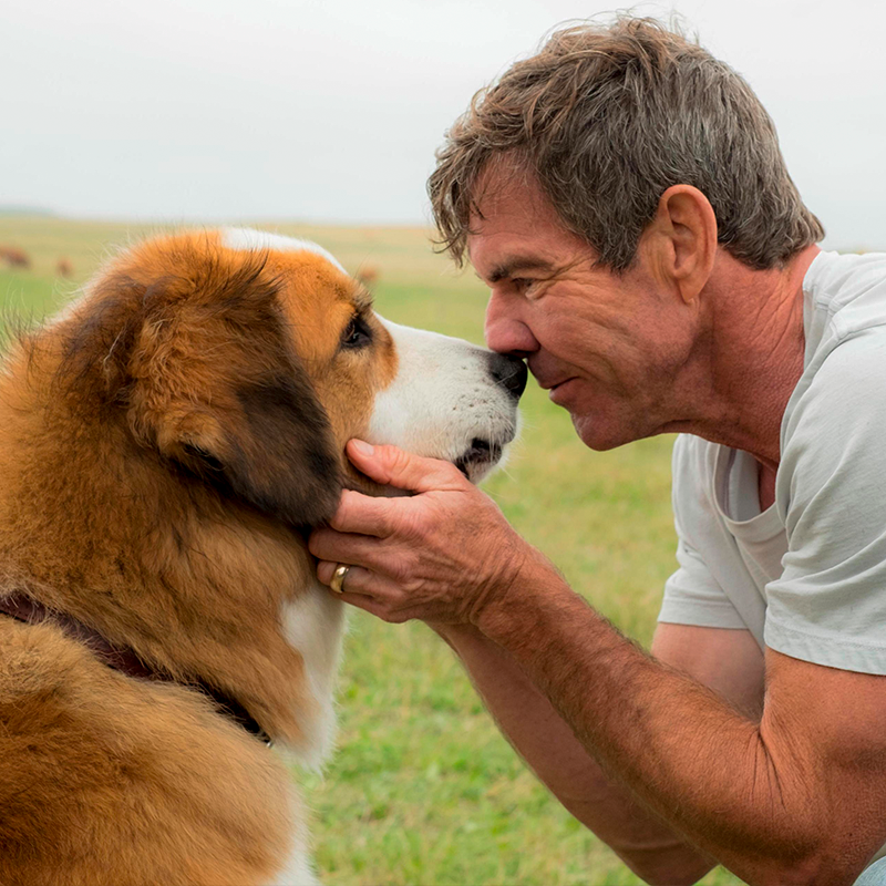 Tu Mundo Inter tweet media