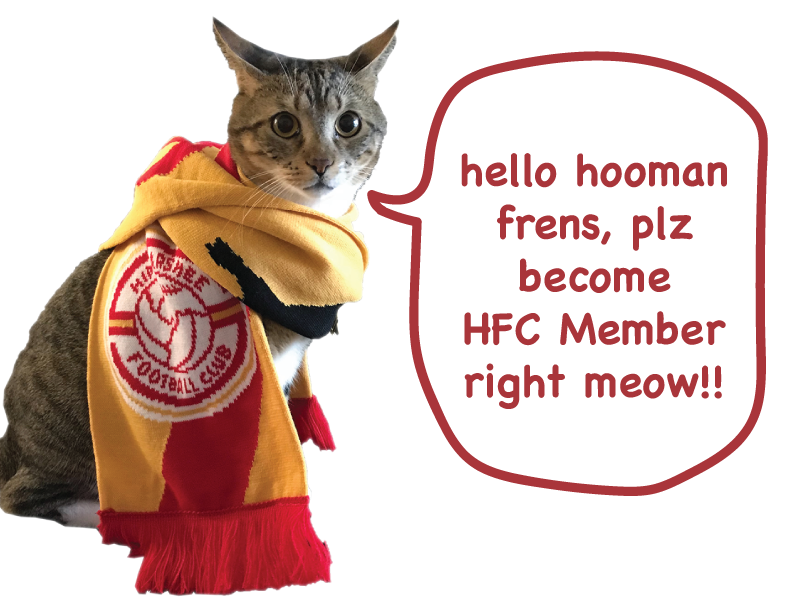 HimmarsheeFC's tweet photo. This is Rocket.

Rocket lives at HFC HQ. He's selling Memberships on the interwebs.

You're not just gonna keep scrolling, are you?

-> https://t.co/fgv96CYjFd

#SupportLocal #Soccer #Broward

cc: @Flight9Lives https://t.co/UE91CB6dBw