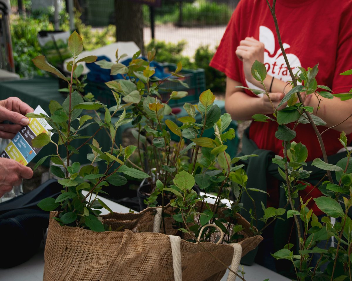 NFFTT's tweet photo. Saturday's #TreeForMe event was a great success! Thank you to our supporters, volunteers, and everyone who stopped by our booth to chat or pick up a tree. We are happy to see our urban forest grow and hope you enjoy your new fruit tree! https://t.co/5G2wKMBnNy