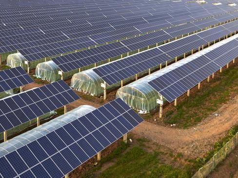 mabhishek_75's tweet photo. Overlooking the solar photovoltaic panels and agricultural planting temperature shed #WeifangagriculturalField by @beluga_solar⠀
visit us for all your Solar needs ⠀⠀
⠀⠀
👉 https://t.co/uDLiF3I5DL ⠀⠀
#belugasolar #LightingTheWorld #solarenergy https://t.co/s7SAS4kNo6