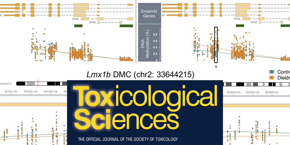 SOToxicology's tweet photo. June @ToxSci #EditorsHighlight: Dieldrin Exposure and Dopamine Gene DNA Methylation https://t.co/qRqvm594R5 https://t.co/1yC3dQ0T6d