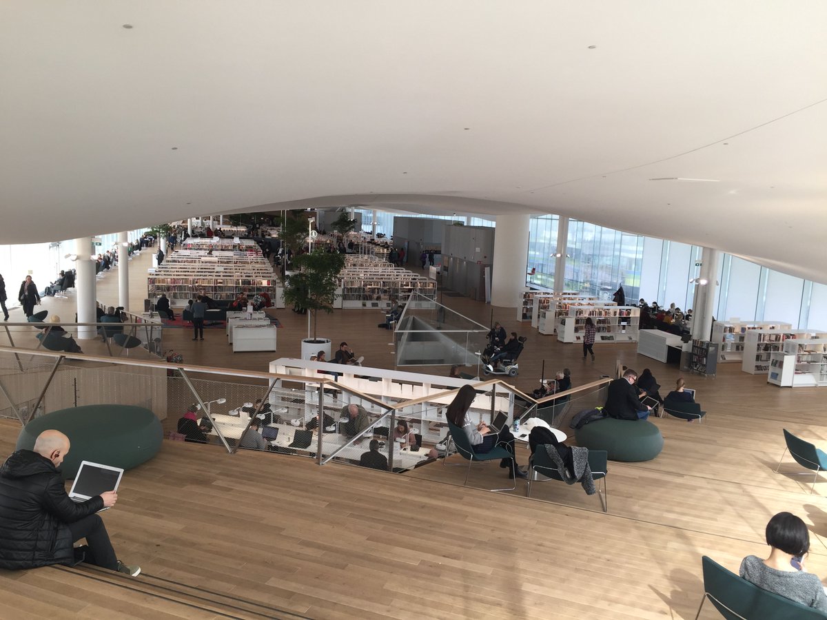 Liz Bernstein tweet media