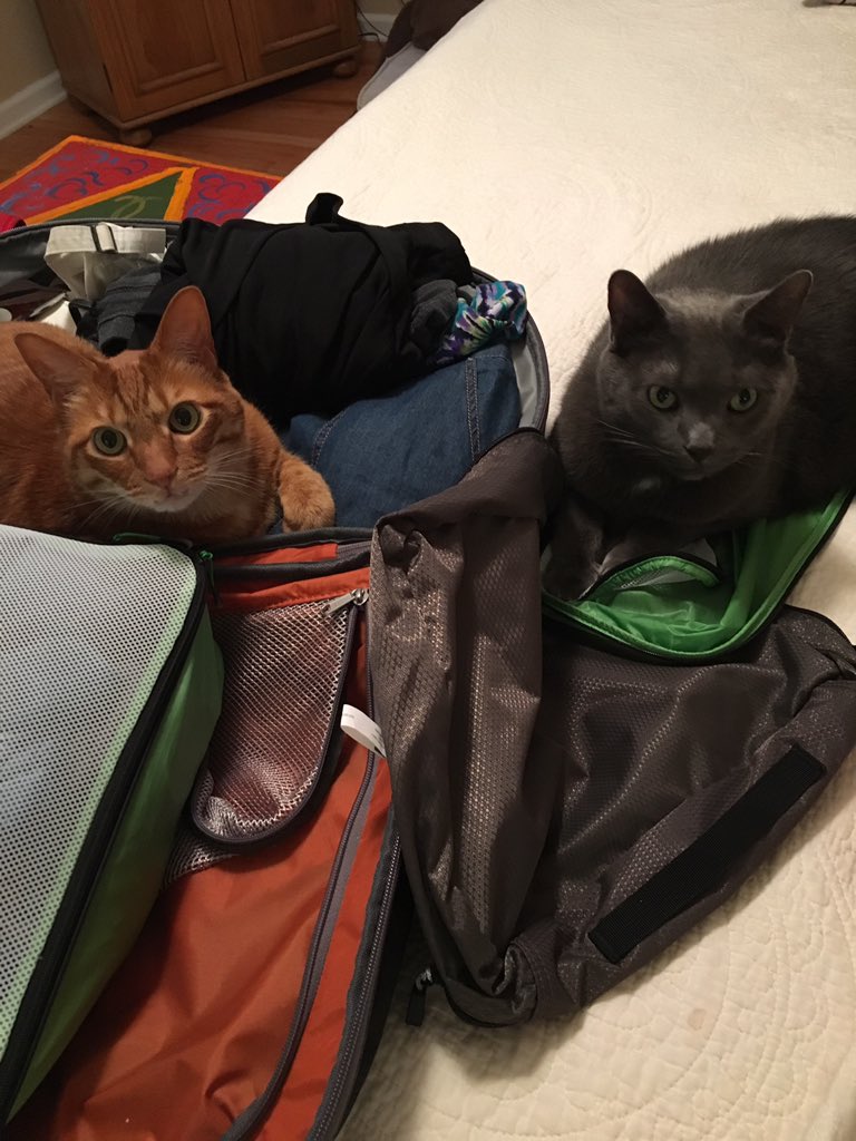 Lori Green LeRoy tweet media