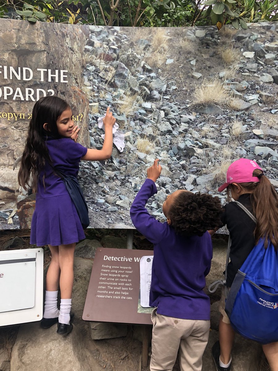AGCS_01's tweet photo. So much fun at @woodlandparkzoo! What a great way to spend the last #Monday of the school year #FirstGrade #science #experientialed #elementaryed @rentonprep @em_chant https://t.co/5uxMe2cvT0