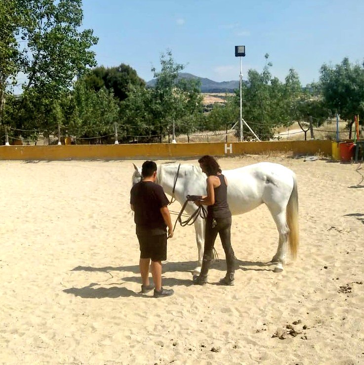 ACEColmenar's tweet photo. Seguimos construyendo momentos que 'marcan' ... Hoy a través del manejo y trabajo con caballos en el #CentroHípicoLasPalomas en #ColmenarViejo.
Se sorprenden y nos sorprenden tanto chicos como caballos...#Sensibilidad y #empatía bonita combinación para equilibrio emocional. https://t.co/4QeP5Xzc9S