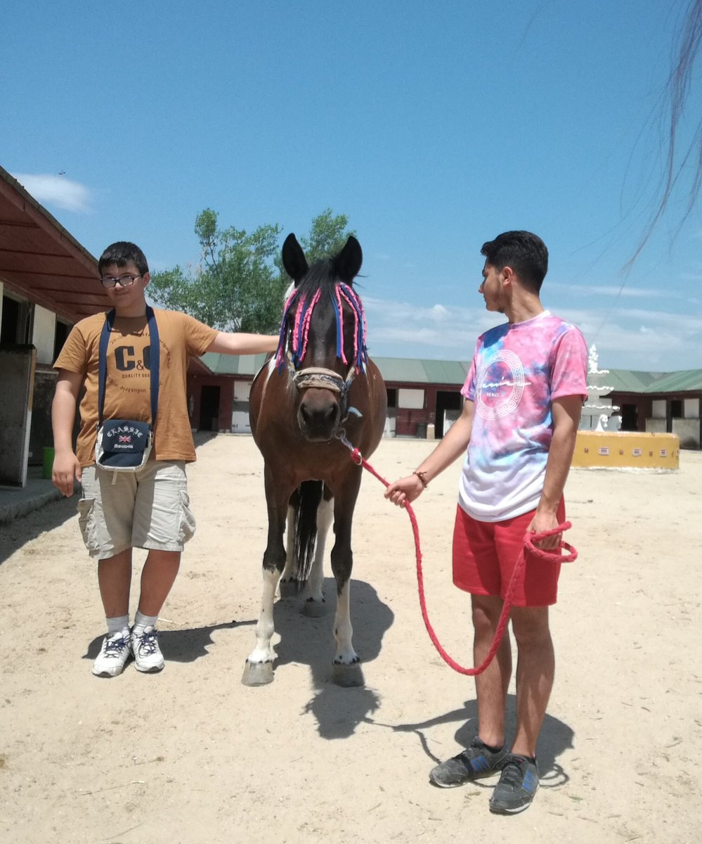 ACEColmenar's tweet photo. Seguimos construyendo momentos que 'marcan' ... Hoy a través del manejo y trabajo con caballos en el #CentroHípicoLasPalomas en #ColmenarViejo.
Se sorprenden y nos sorprenden tanto chicos como caballos...#Sensibilidad y #empatía bonita combinación para equilibrio emocional. https://t.co/4QeP5Xzc9S