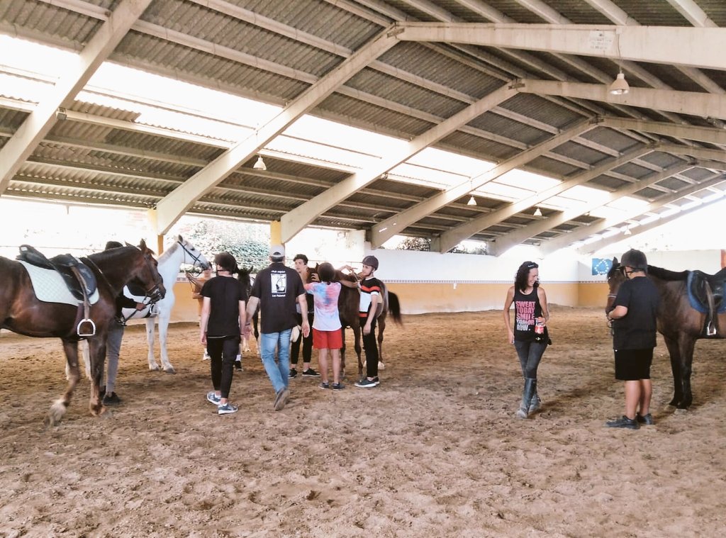 ACEColmenar's tweet photo. Seguimos construyendo momentos que 'marcan' ... Hoy a través del manejo y trabajo con caballos en el #CentroHípicoLasPalomas en #ColmenarViejo.
Se sorprenden y nos sorprenden tanto chicos como caballos...#Sensibilidad y #empatía bonita combinación para equilibrio emocional. https://t.co/4QeP5Xzc9S