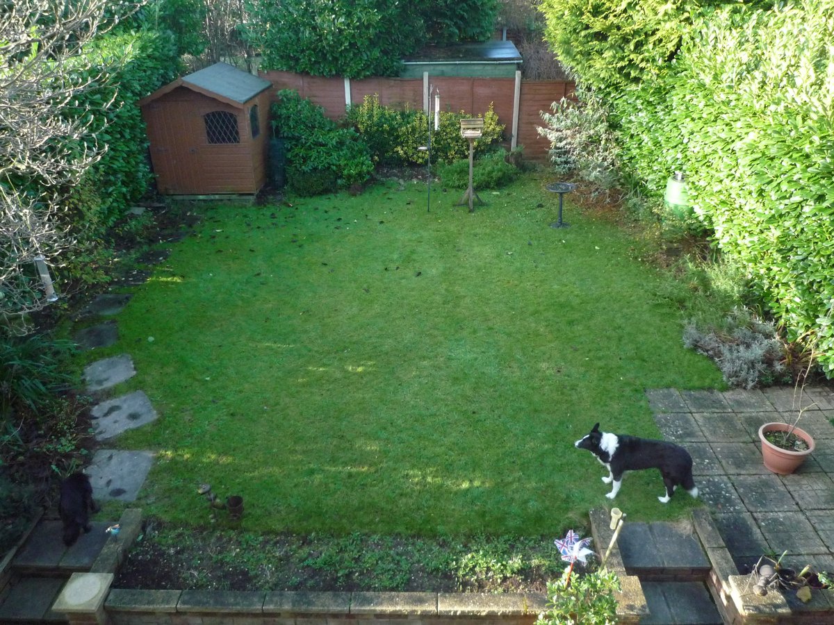 hoopoe2016te's tweet photo. From a fairly devoid garden for wildife when we moved in 2013, to my own little haven today 😊. Just the pond to get in for 2020. Just think of the positive impact if all made a space for nature in their garden @BBCSpringwatch @DorsetWildlife @savebutterflies #Gardenwatch https://t.co/wMHeRKeHDq