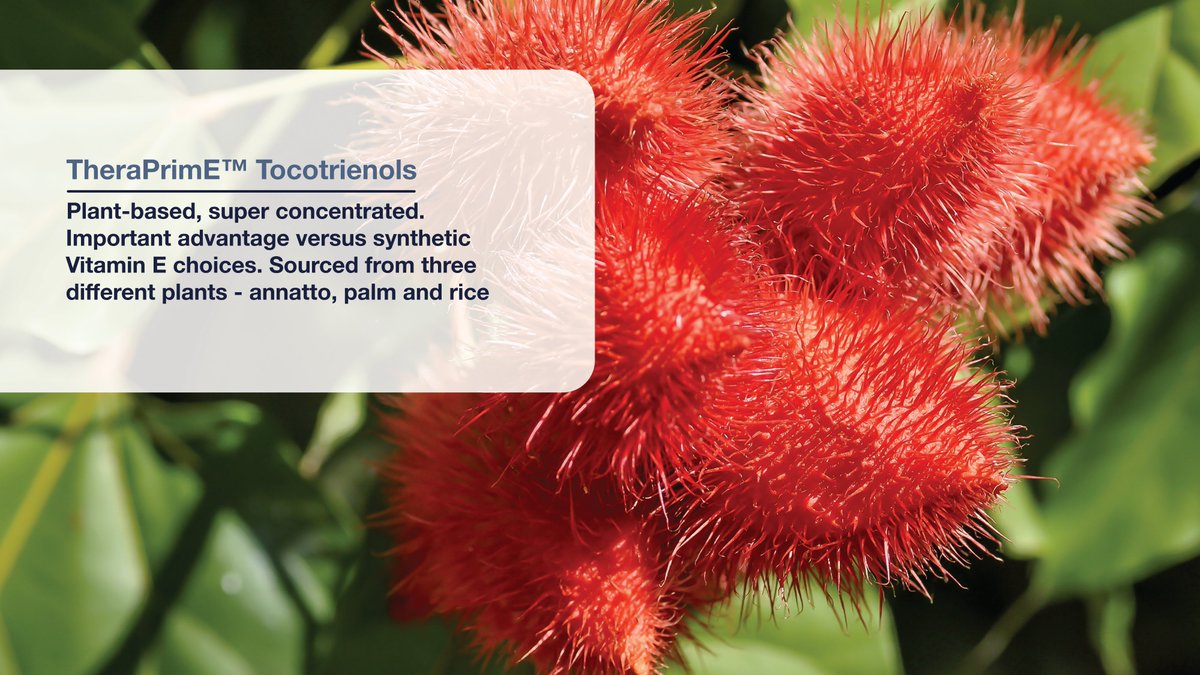 BGG World tweet media