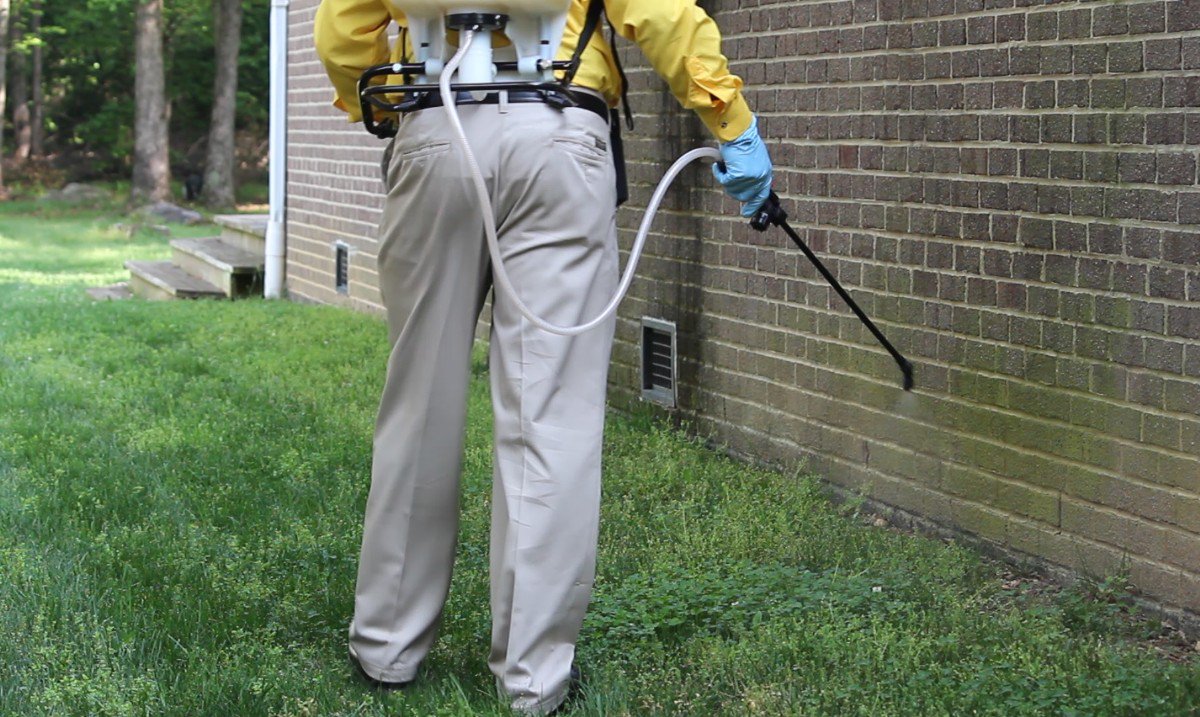 GeffroyTermite's tweet image. #PestProtection #UnionCityTermiteControl #NewarkTermiteControl