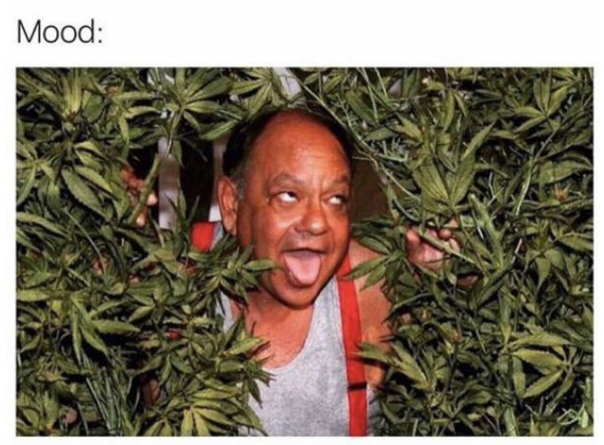 Monday’s.. am I right guys? #smokeweedeveryday #weedistheremedy #mondaze #weedkweenz #ManicMonday