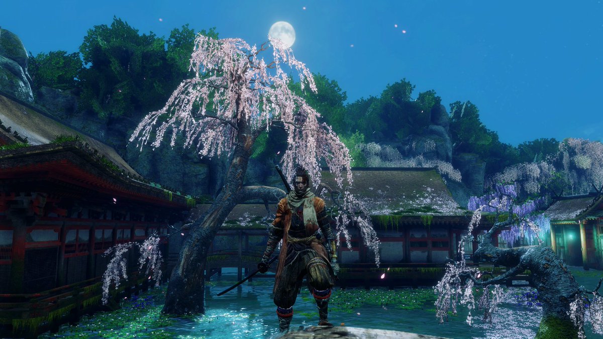 Zlofsky 朝からsekiro風景 桜吹雪すごく綺麗だけど 均等に降ってくれるわけじゃないので雪よりも撮影難しい