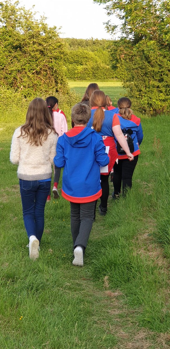 The Guides took a leisurely stroll through the local countryside this evening. 2.5 miles completed in total #InspireGirls #explore