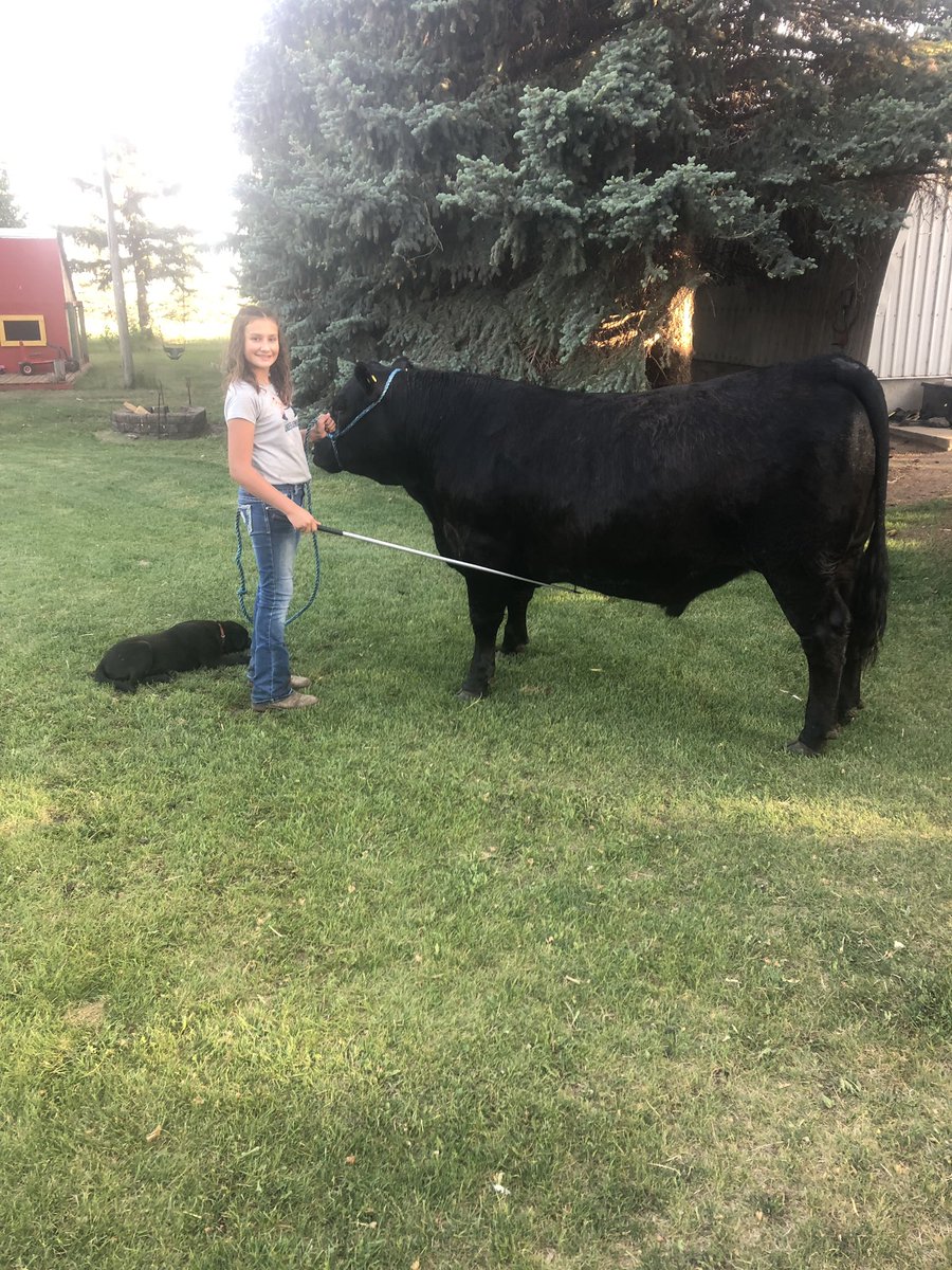 It’s BBQ season. Come support our local 4-H Beef and Sheep club. Burdett arena Saturday June.15 Show 10 am Sale2 pm Free pancakes 7-9. Who doesn’t love a good Auction