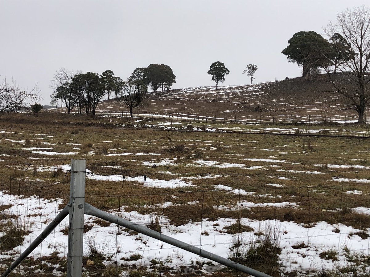 Paul Ford tweet media