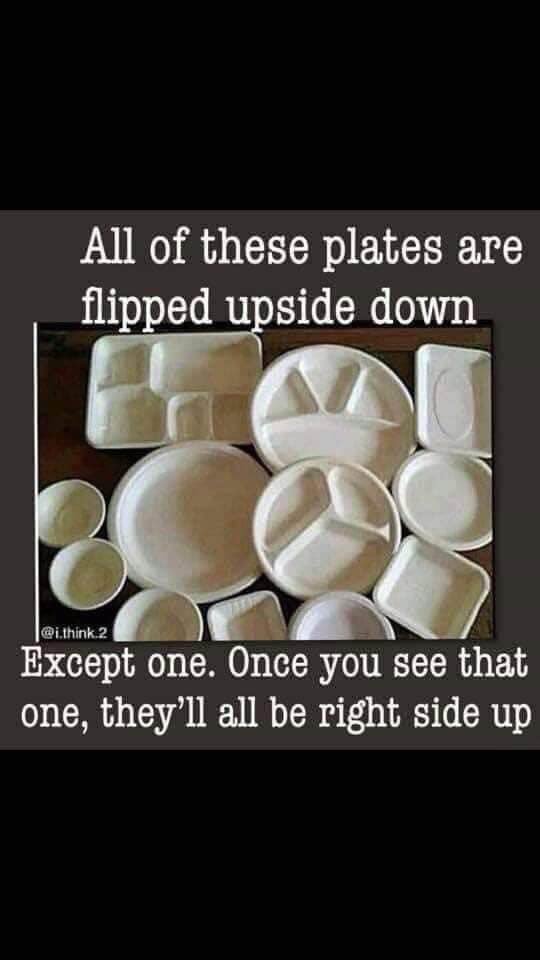 ladderstands's tweet photo. Did you find it? #illusion #whichone #treestandbuddy https://t.co/Fsze20udYs