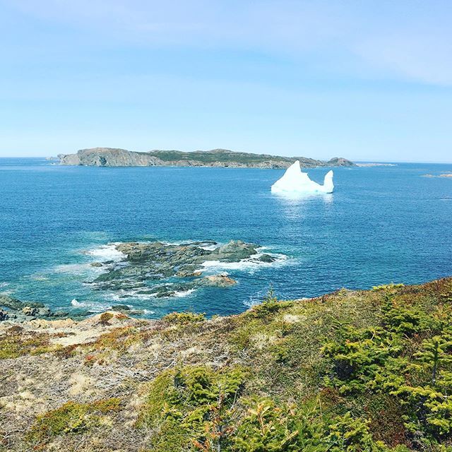 candaceosmond's tweet photo. Is it just me or does this iceberg look like a paper swan? Lol #iceberg #icebergalley #twilingate #newfoundland https://t.co/r9cmgzTbII https://t.co/cUbmCvh4dz