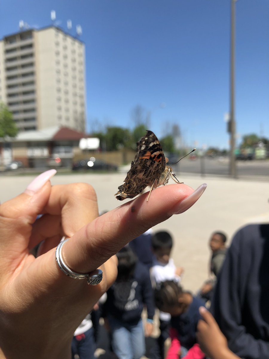 Ms. Mazzulla tweet media