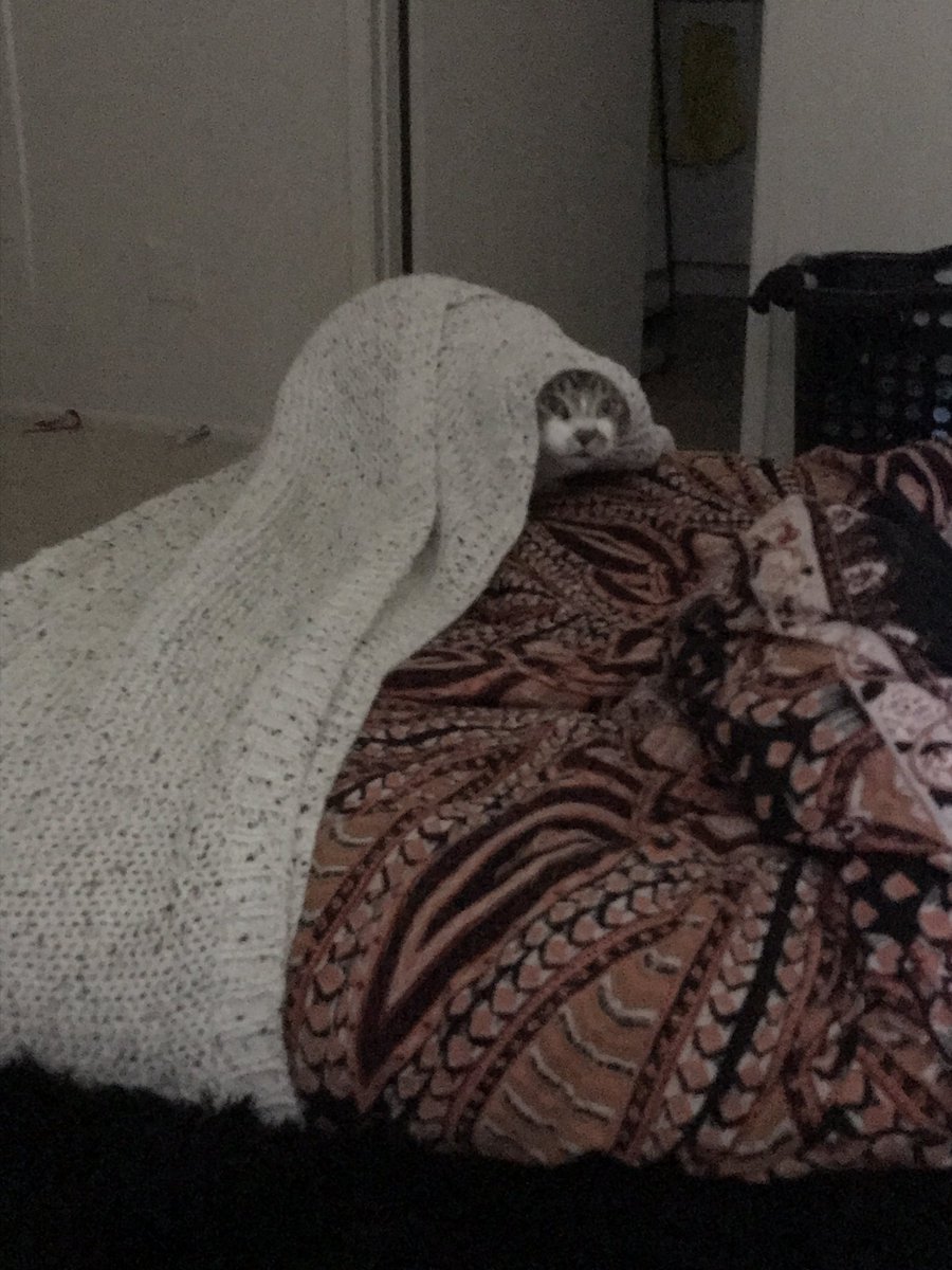 i hear rustling in the blankets so i look over and