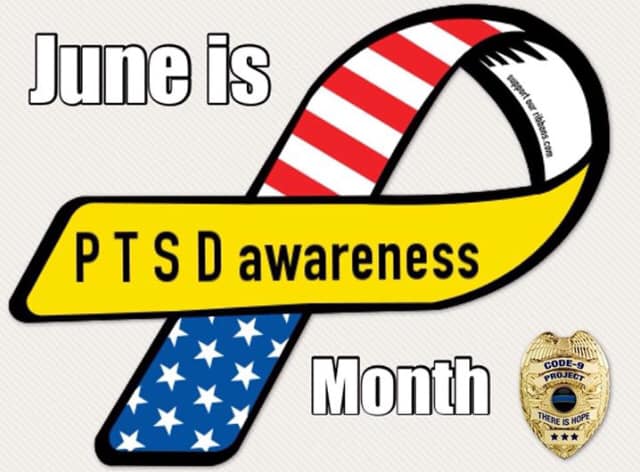 delmarvablue's tweet photo. June is #PTSDAwarenessMonth via @Code9Project #youarenotalone #code9project https://t.co/lov2qNcd45