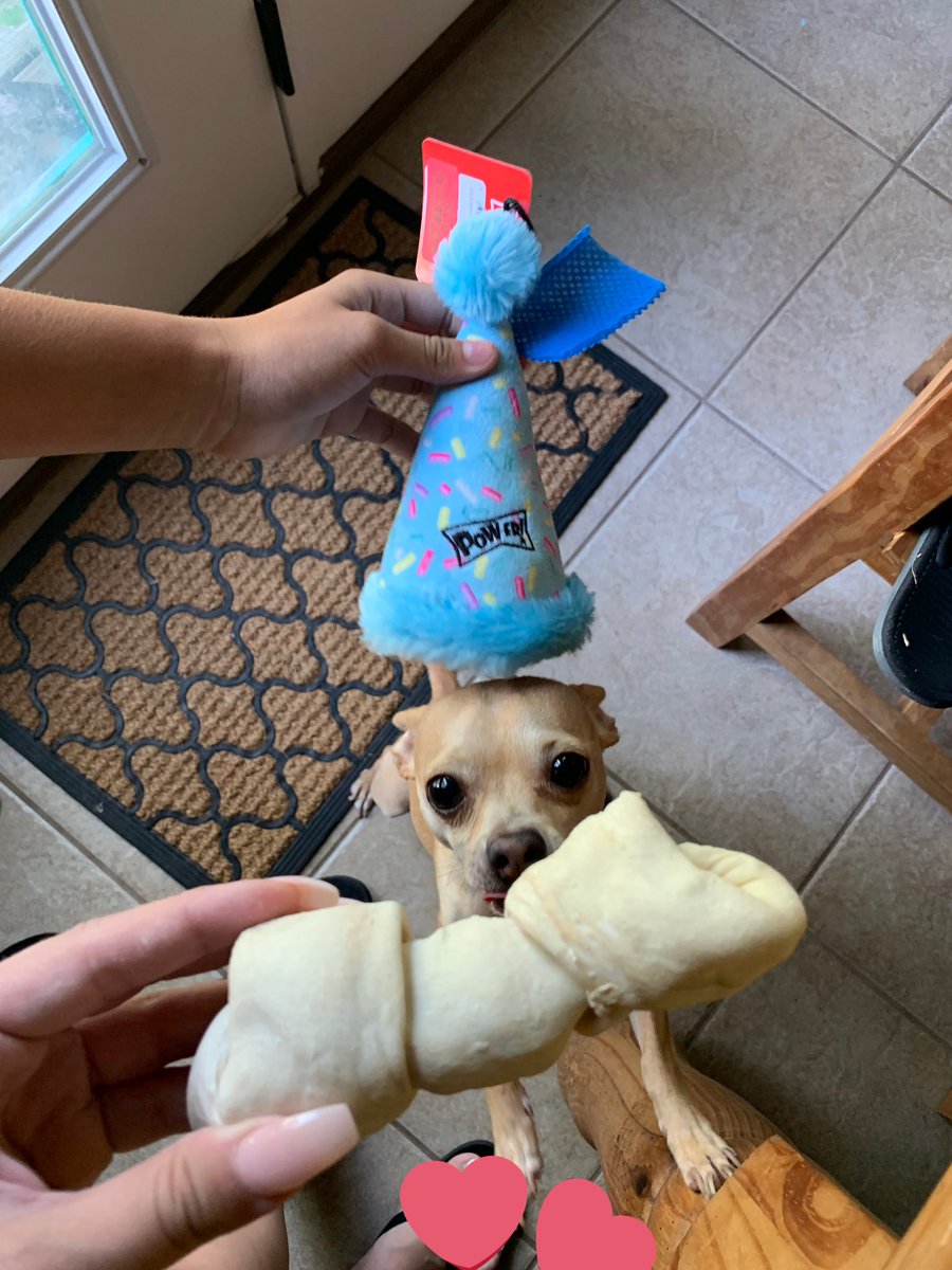 it’s my little guppy’s 3rd birthday 🥺💛