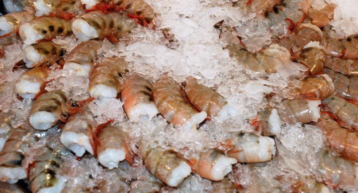 Q8shrimpCom's tweet photo. #Trump’s tariff on #Mexican #Shrimp will require ‘hard decisions’

Another significant source of #Shrimp for the US now looks likely to get more expensive following president Donald #Trump’s latest t...
h ... https://t.co/U1vqpnrDfH