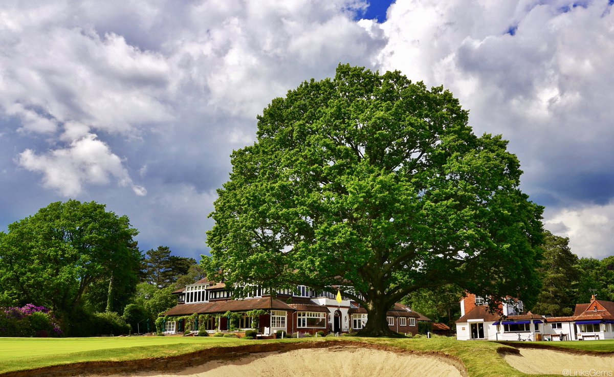 The majestic “Sunningdale Oak Tree,” which stands proudly behind the 18th green of the Old Course, has been adopted by the club as its logo, and understandably so - it’s not only an impressive sight, but it’s the first thing and the last thing golfers see during their rounds.