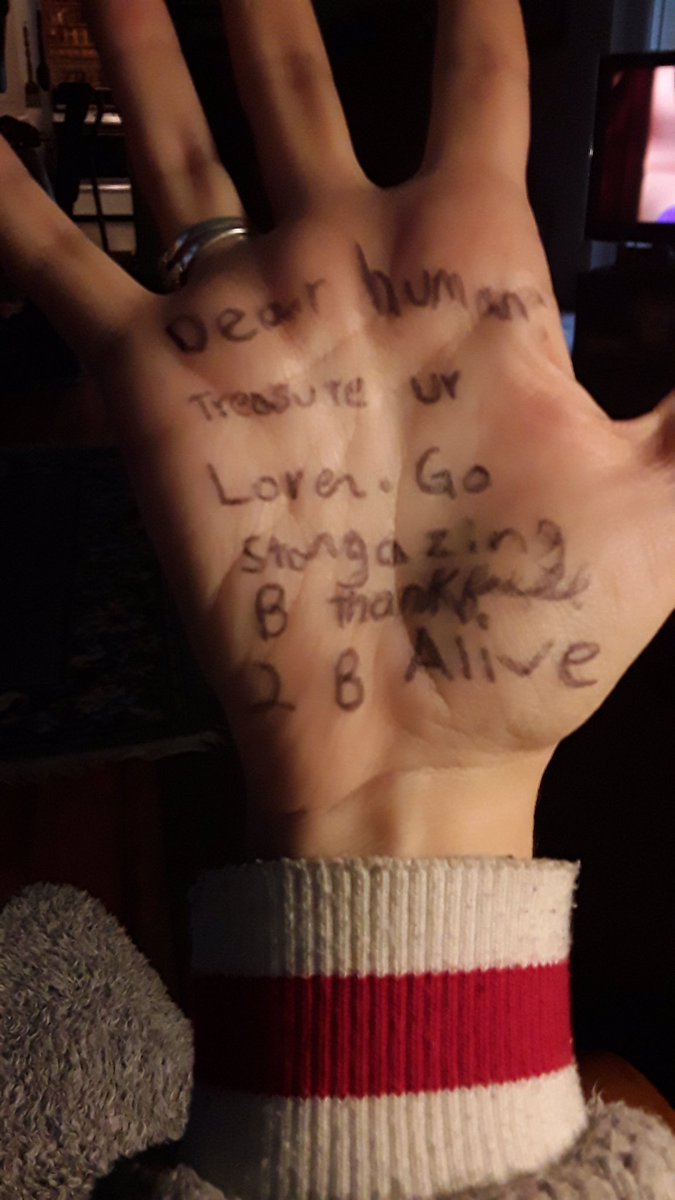moonmoth5's tweet photo. It says dear human: 
Treasure ur lover❤️.  Go stargazing 🔭. B thankful 2 b alive.  #love #life #bethankful https://t.co/0vk7JTrk8d