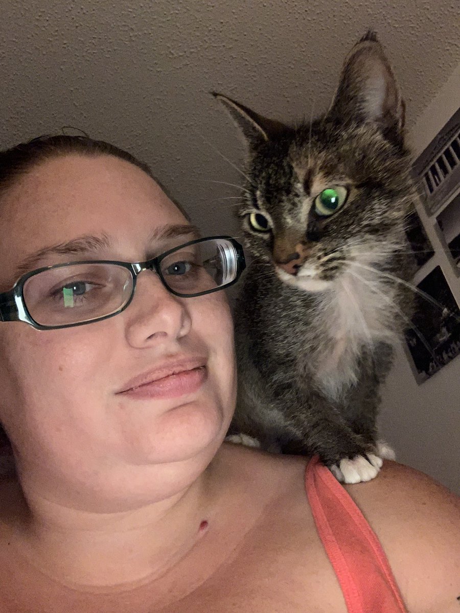 CLeighPhotos's tweet image. At what point do you say, “Okay, I clearly have a problem....” 
@Stands #CatsOrCharms #CatProblem #CharmProblem #CharmsForCharity #EitherWay #IHaveAProblem #ExcuseTheCats