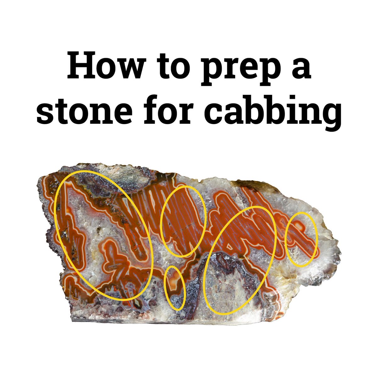 TheCabKing's tweet photo. Want to learn how to cab? We've got lots of great tutorials on our website, including how to make your first cab π
Check out our step-by-step tutorial at https://t.co/ZWYJsBb6wU
#howto #diyjewelry #cabbing #cabochon #cabbingrough #lapidary #lapidaryarts #jewelrymaking #cabking https://t.co/UZpYRLKCKz