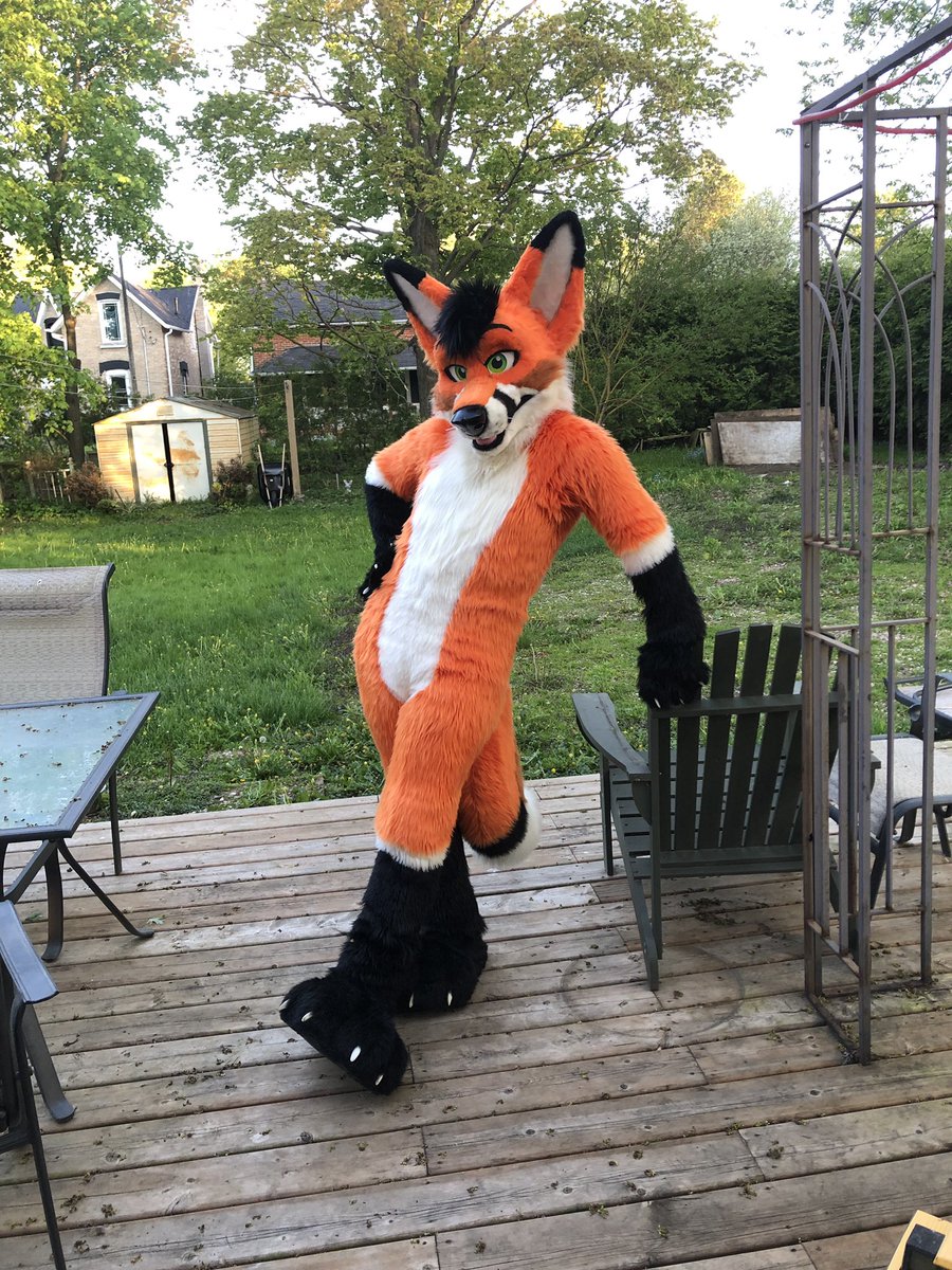 MadeFurYou's tweet photo. Handsome fox suit is up for auction. Recently refurbished. More details in link!  https://t.co/lIIshGTf1B https://t.co/rtDdefba47