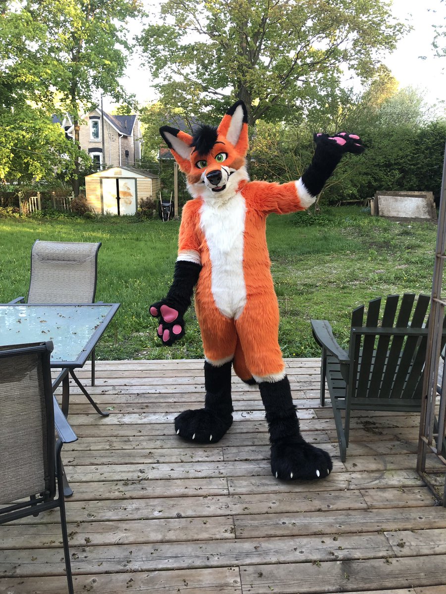 MadeFurYou's tweet photo. Handsome fox suit is up for auction. Recently refurbished. More details in link!  https://t.co/lIIshGTf1B https://t.co/rtDdefba47