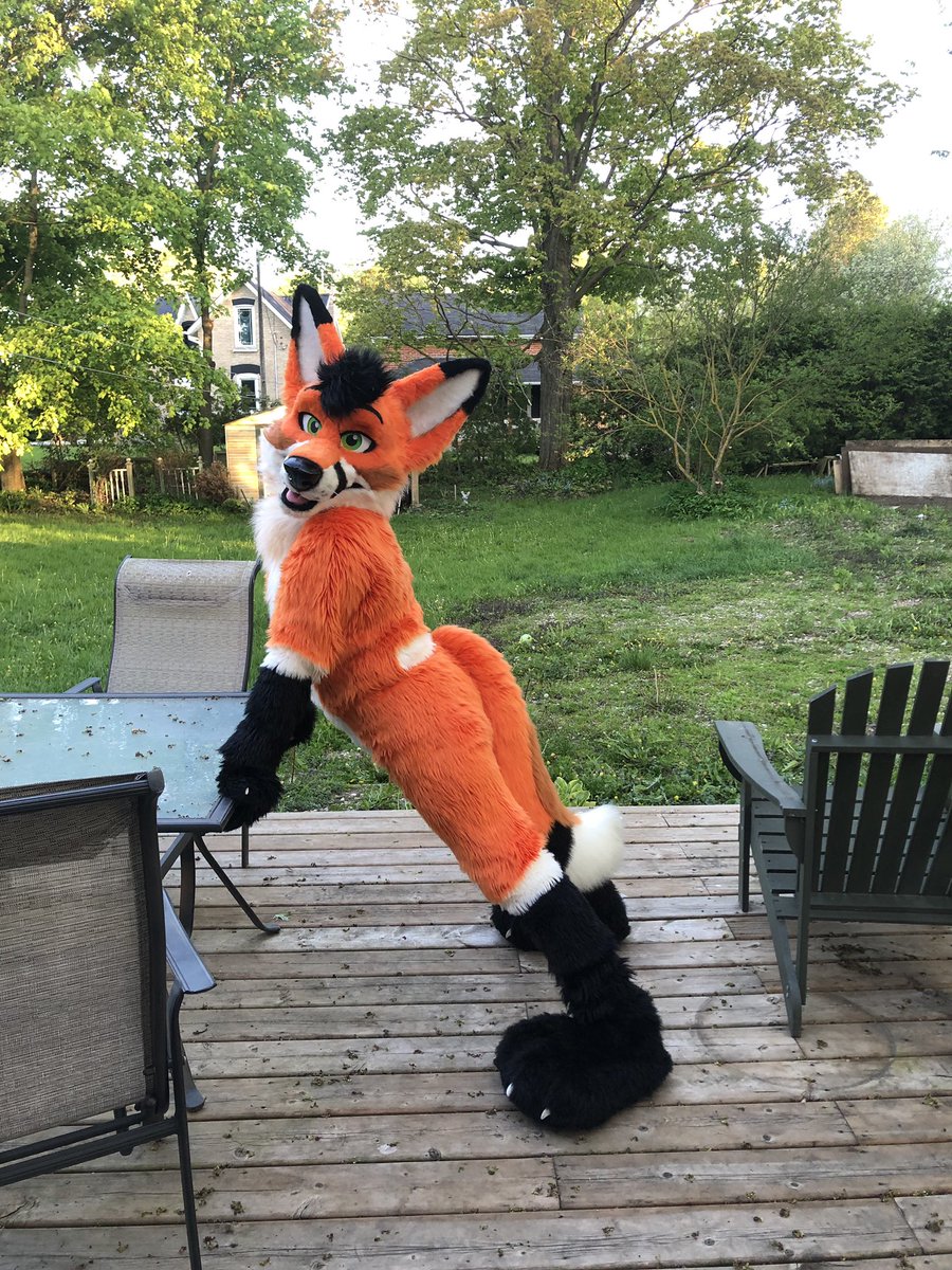 MadeFurYou's tweet photo. Handsome fox suit is up for auction. Recently refurbished. More details in link!  https://t.co/lIIshGTf1B https://t.co/rtDdefba47