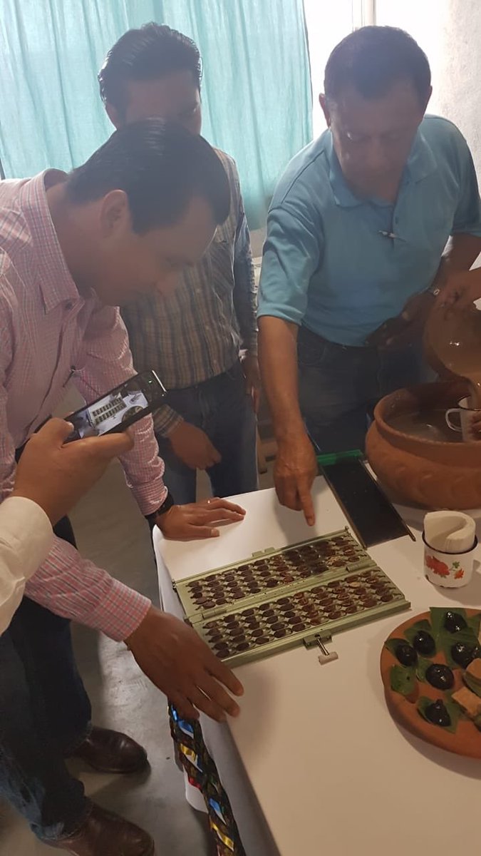 SEDEC_Tab's tweet photo. Hoy se enviaron 25 toneladas de cacao fermentado, que gracias a innovadoras prácticas,  ha conquistado el mercado Europeo con un grano que se ha refinado en el campo Tabasqueño. 500 productores contribuyeron a este éxito! @grupocicas @walterm7705 https://t.co/pIQF0aGOy5 https://t.co/GZgedBX2YA