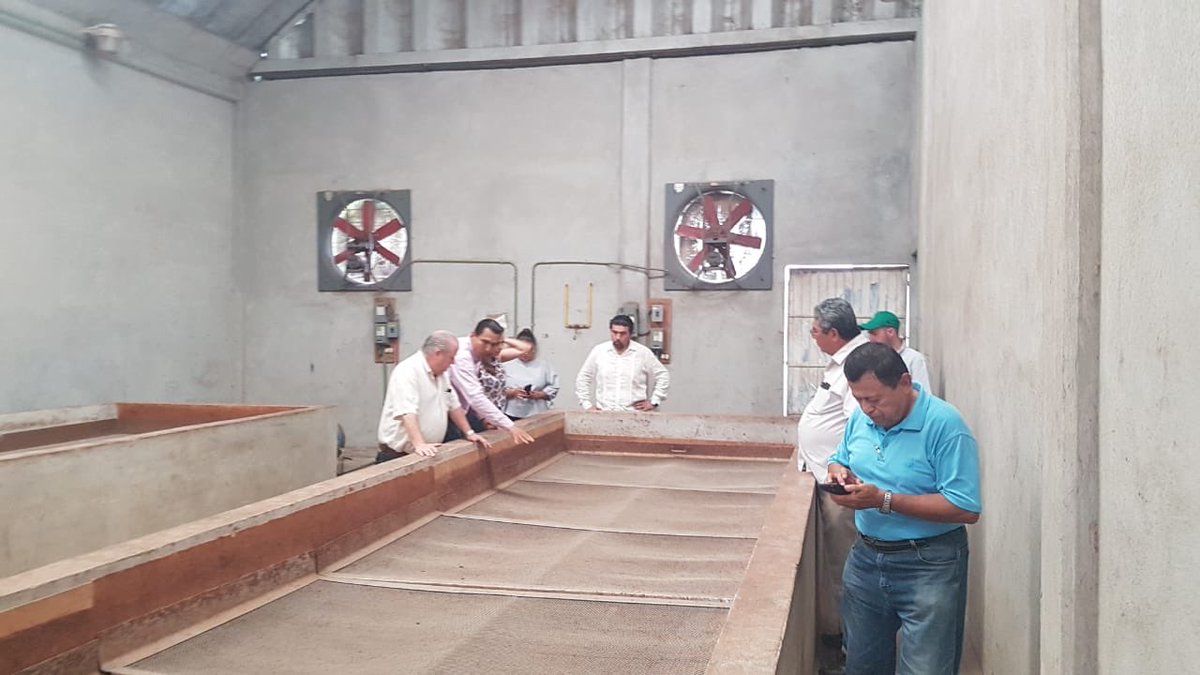 Hoy se enviaron 25 toneladas de cacao fermentado, que gracias a innovadoras prácticas,  ha conquistado el mercado Europeo con un grano que se ha refinado en el campo Tabasqueño. 500 productores contribuyeron a este éxito! <a href="/grupocicas/">Grupo Cicas</a> @walterm7705 grupocicas.com.mx