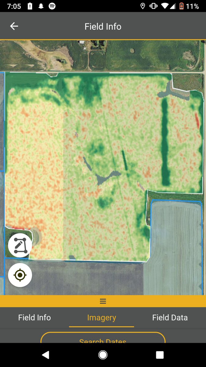 FE_DigitalAg's tweet photo. Using the scouting tool in the #FarmCommand app I noticed a odd line in our imagery. I went to check it out and it ended up being a strip of dandelion that this growers thought to be a sprayer application issue from last year! #SmartFarming -MP https://t.co/2I96Sp8izP