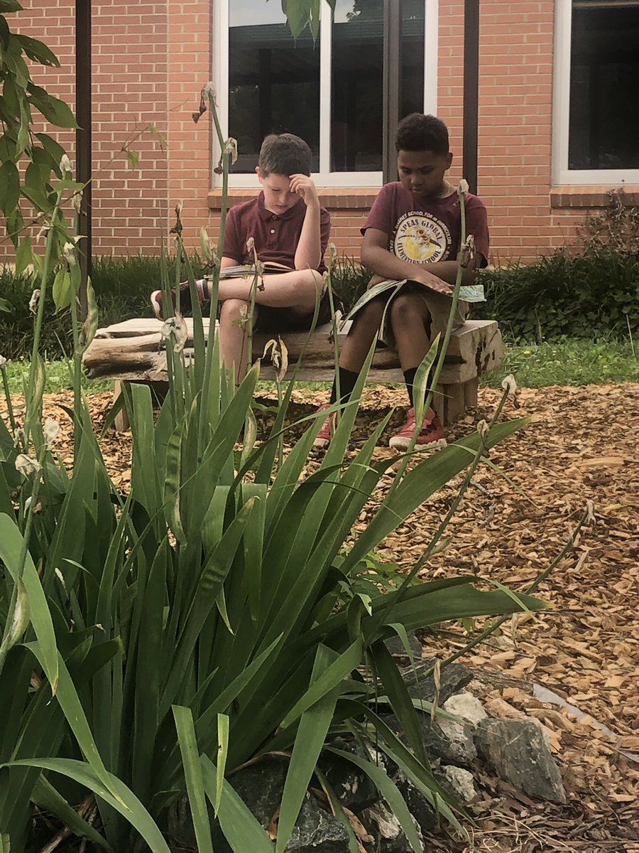 MrsEMcKnight's tweet photo. Outside enjoying the weather and a good book! 📖 @SpeasGlobal https://t.co/tGGWiD4h0H
